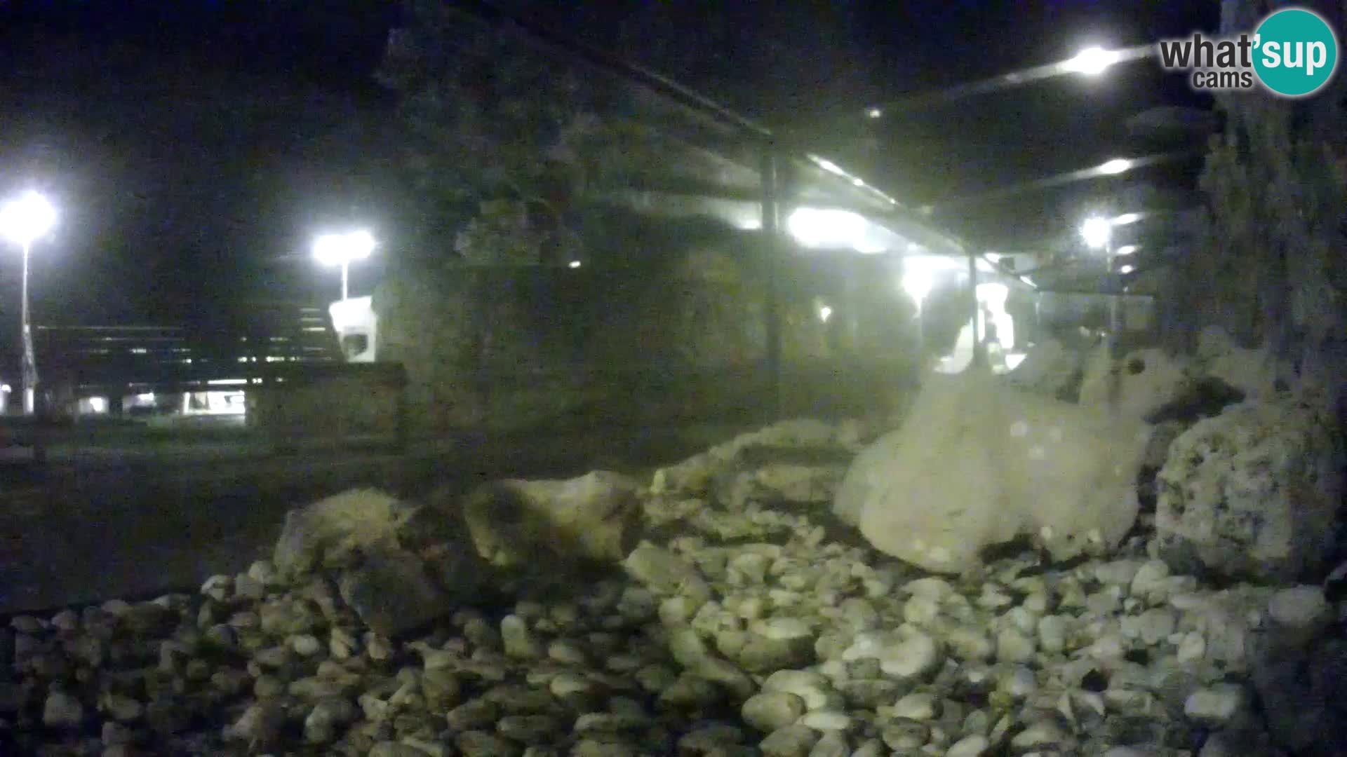 Webcam de l’aquarium marin extérieur de Rogoznica Croatie