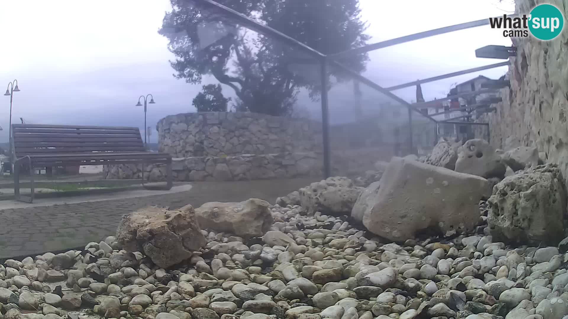 Vanjski morski akvarij Rogoznica web kamera Hrvatska