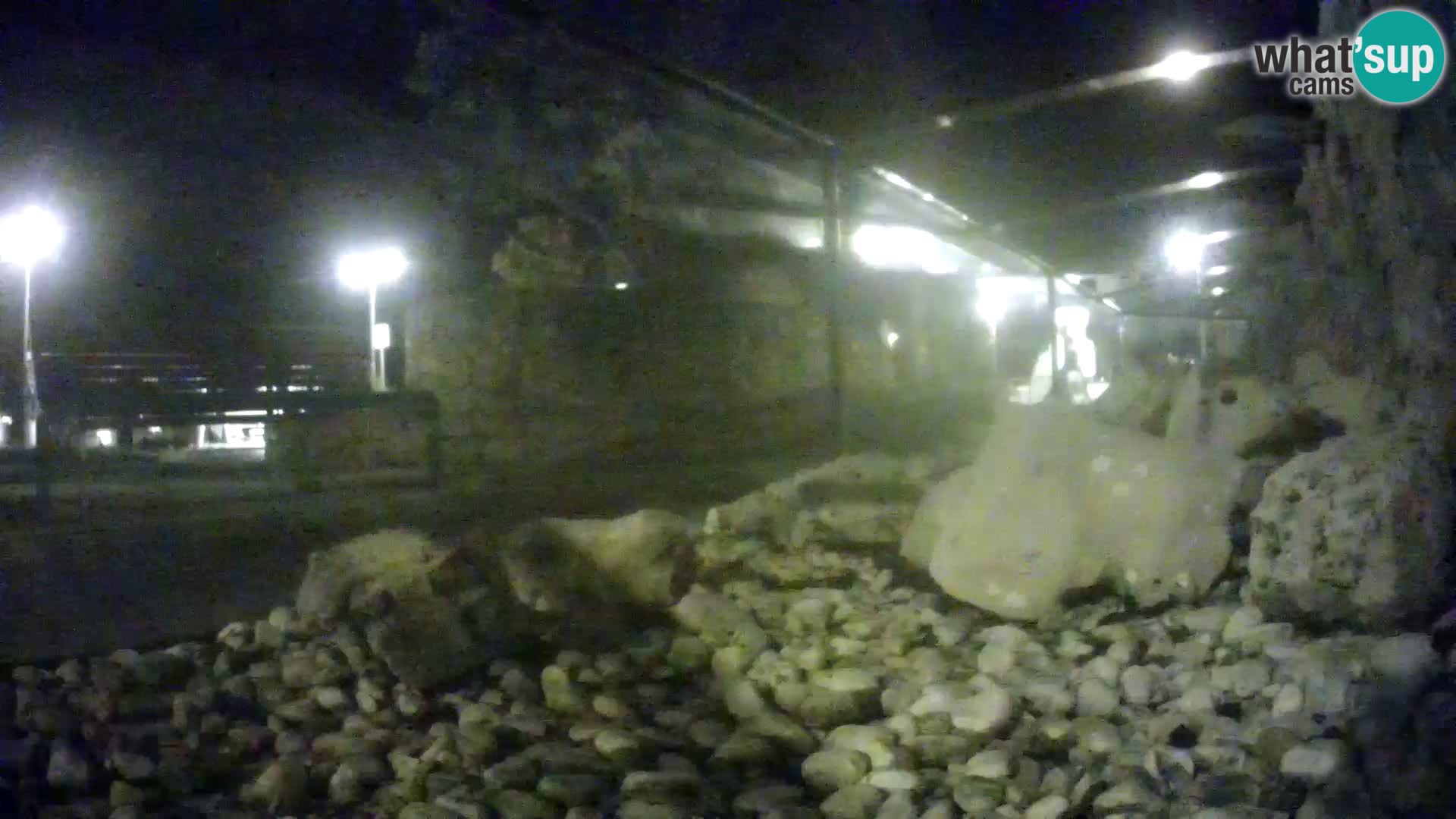 Acuario marino al aire libre Rogoznica webcam Croacia