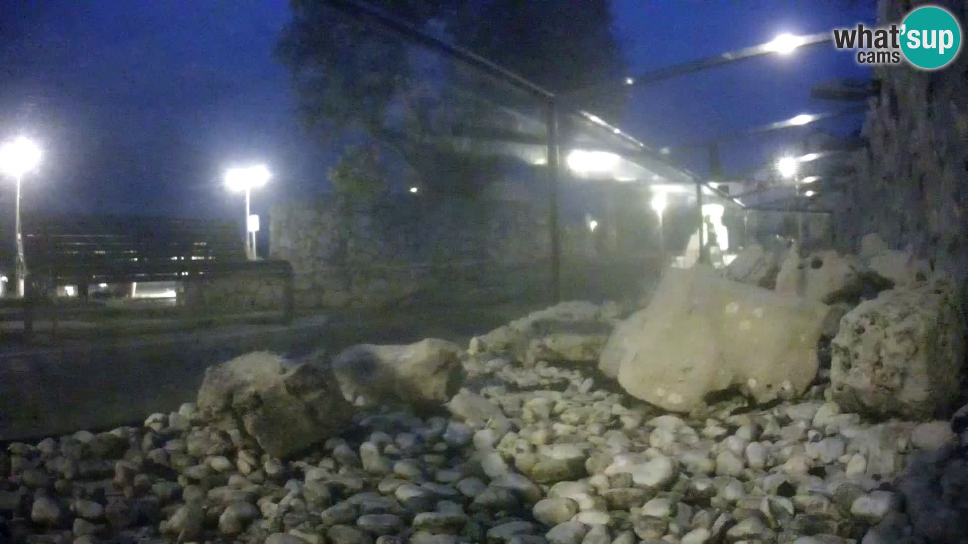 Acuario marino al aire libre Rogoznica webcam Croacia