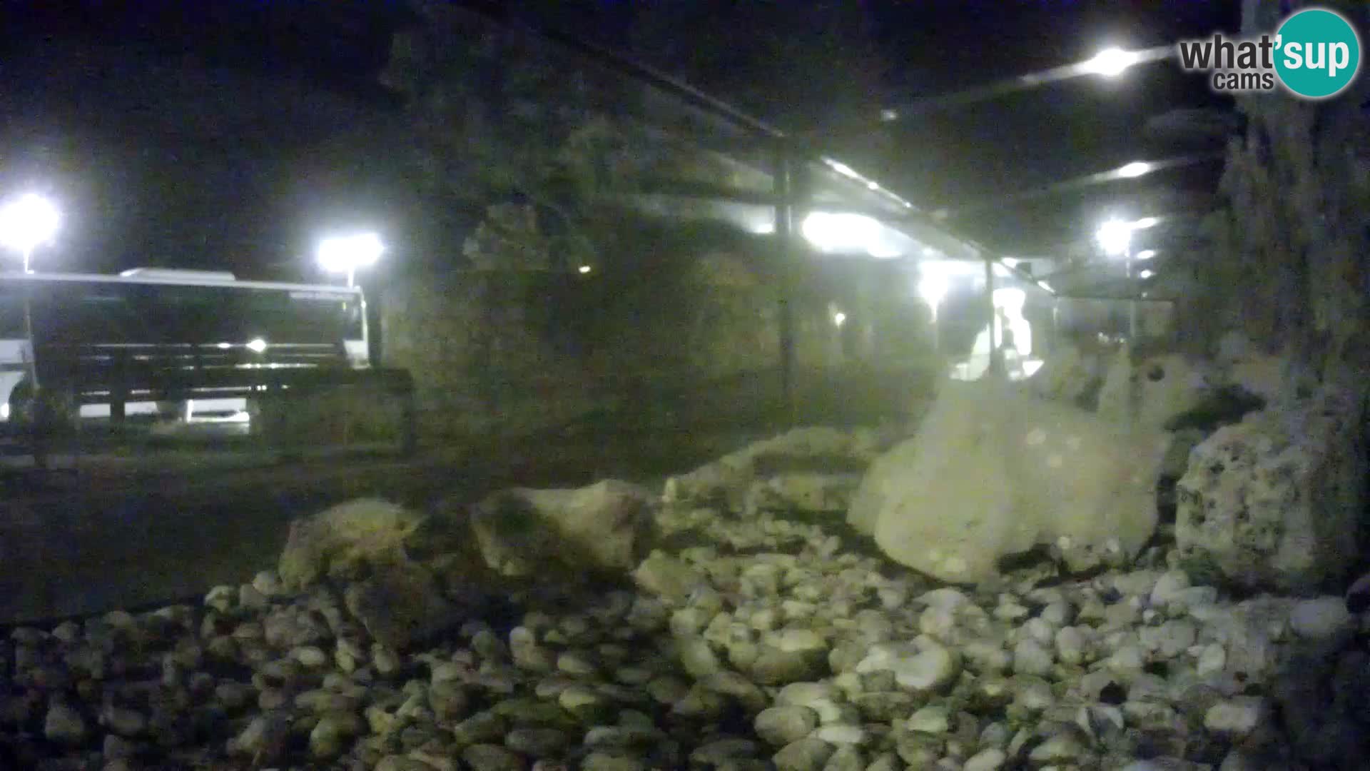 Marine Aquarium im Freien Rogoznica webcam Kroatien