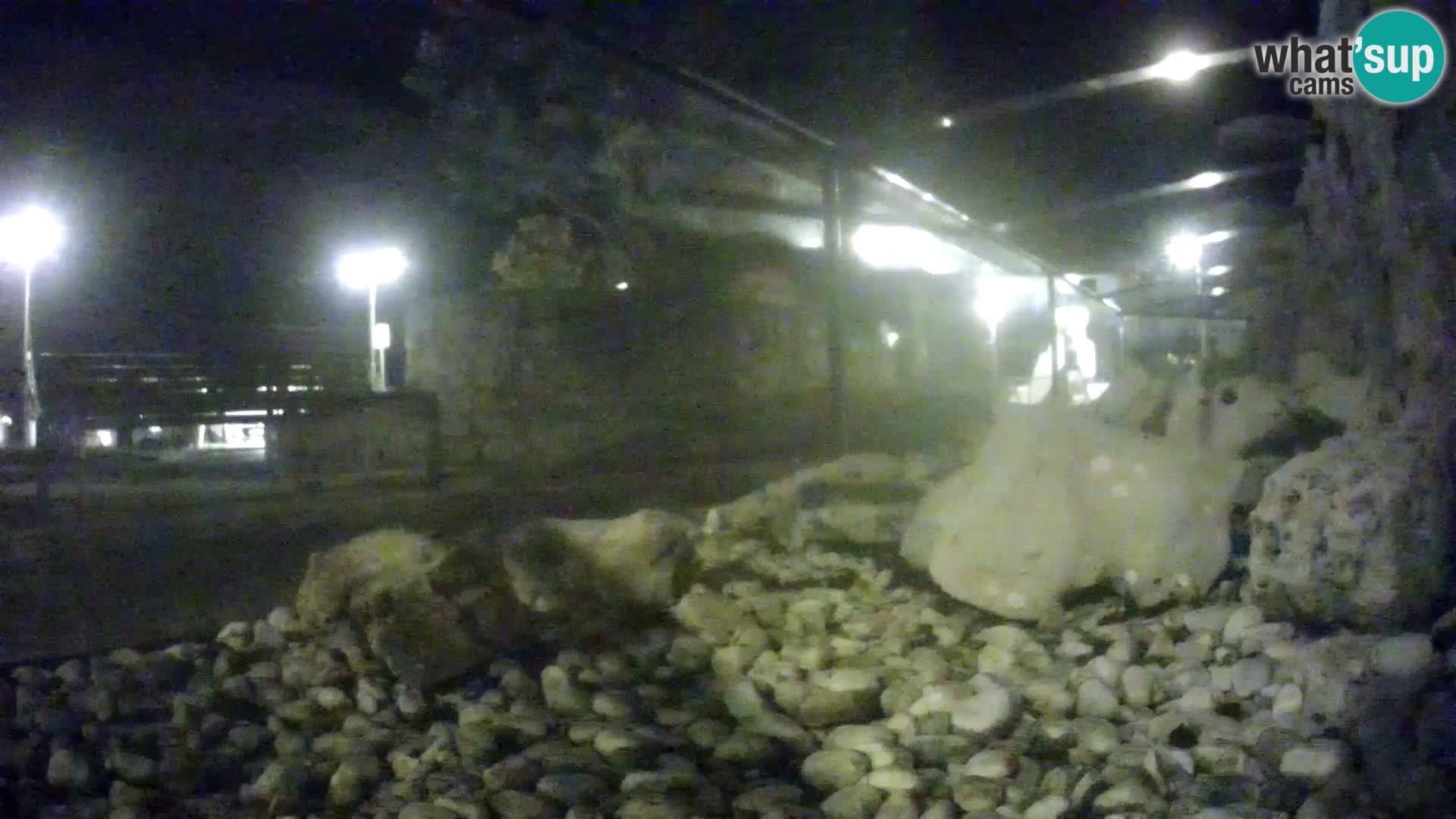 Webcam de l’aquarium marin extérieur de Rogoznica Croatie