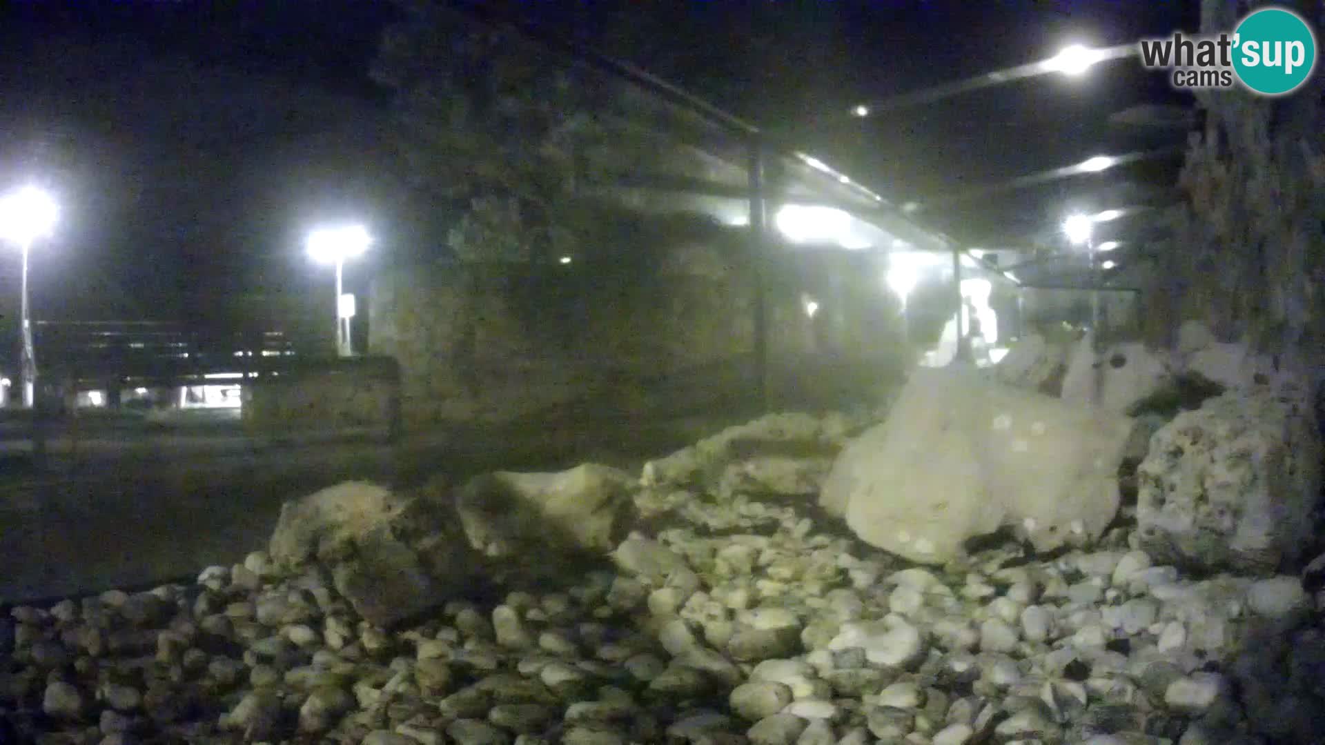 Aquario marino esterno –  Rogoznica livecam Croazia