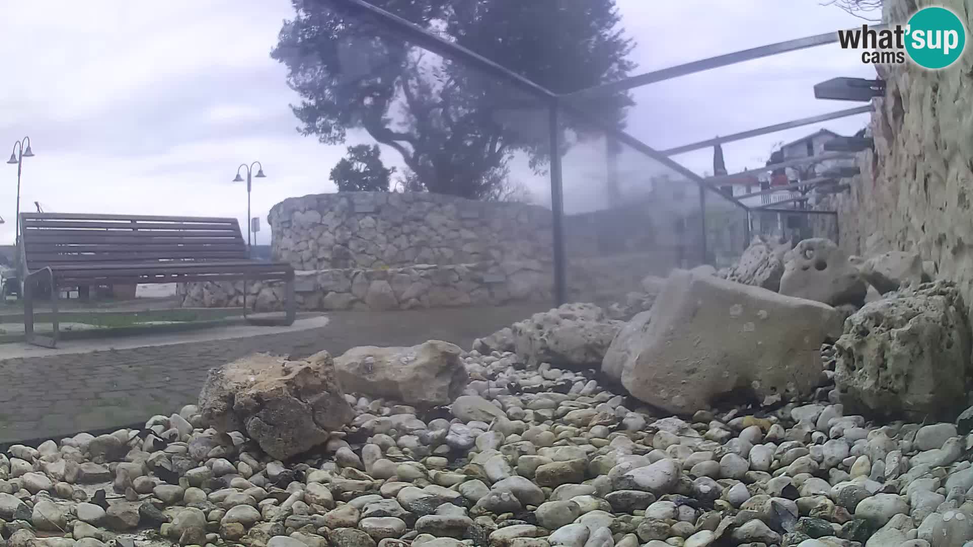Webcam de l’aquarium marin extérieur de Rogoznica Croatie