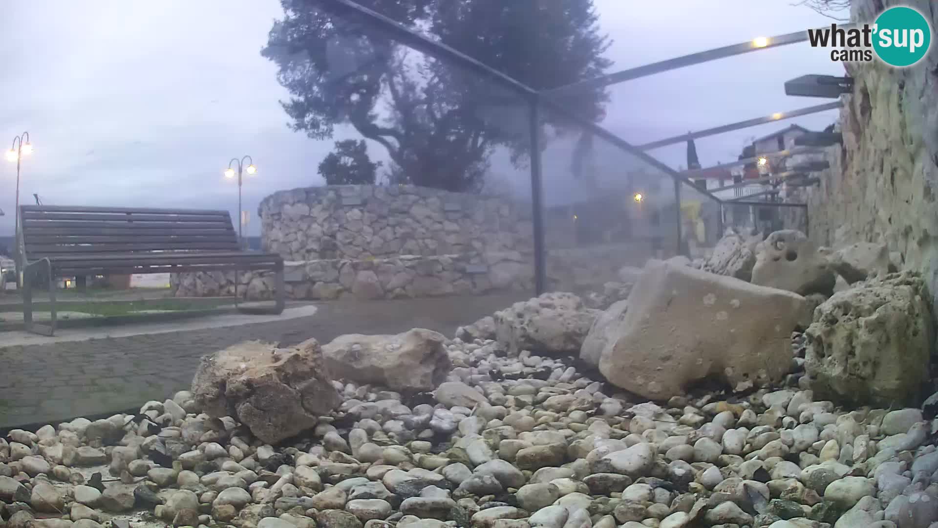 Aquario marino esterno –  Rogoznica livecam Croazia
