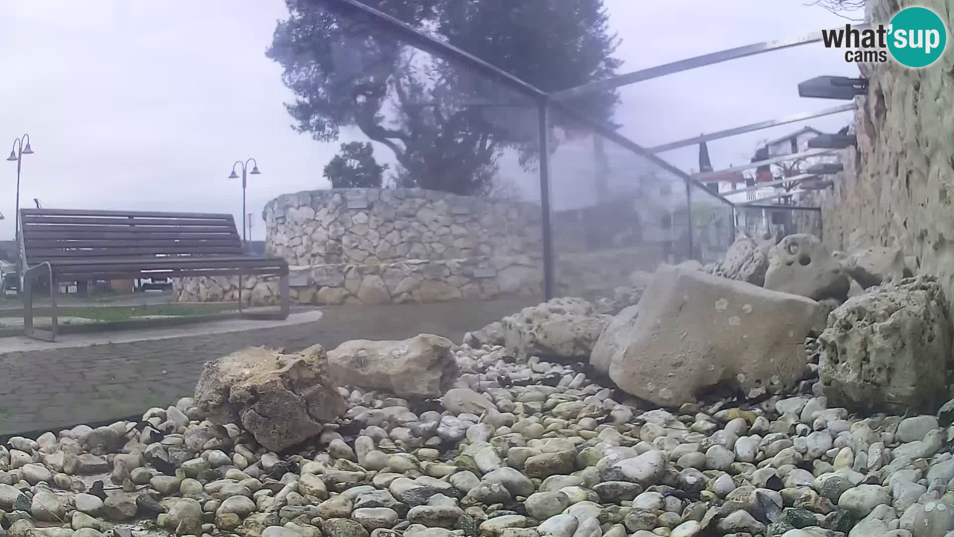 Zunanji morski akvarij Rogoznica spletna kamera Hrvaška