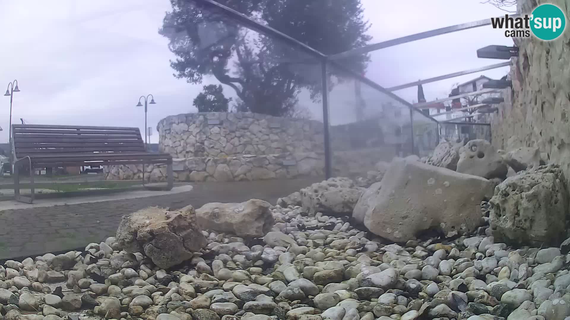 Webcam de l’aquarium marin extérieur de Rogoznica Croatie