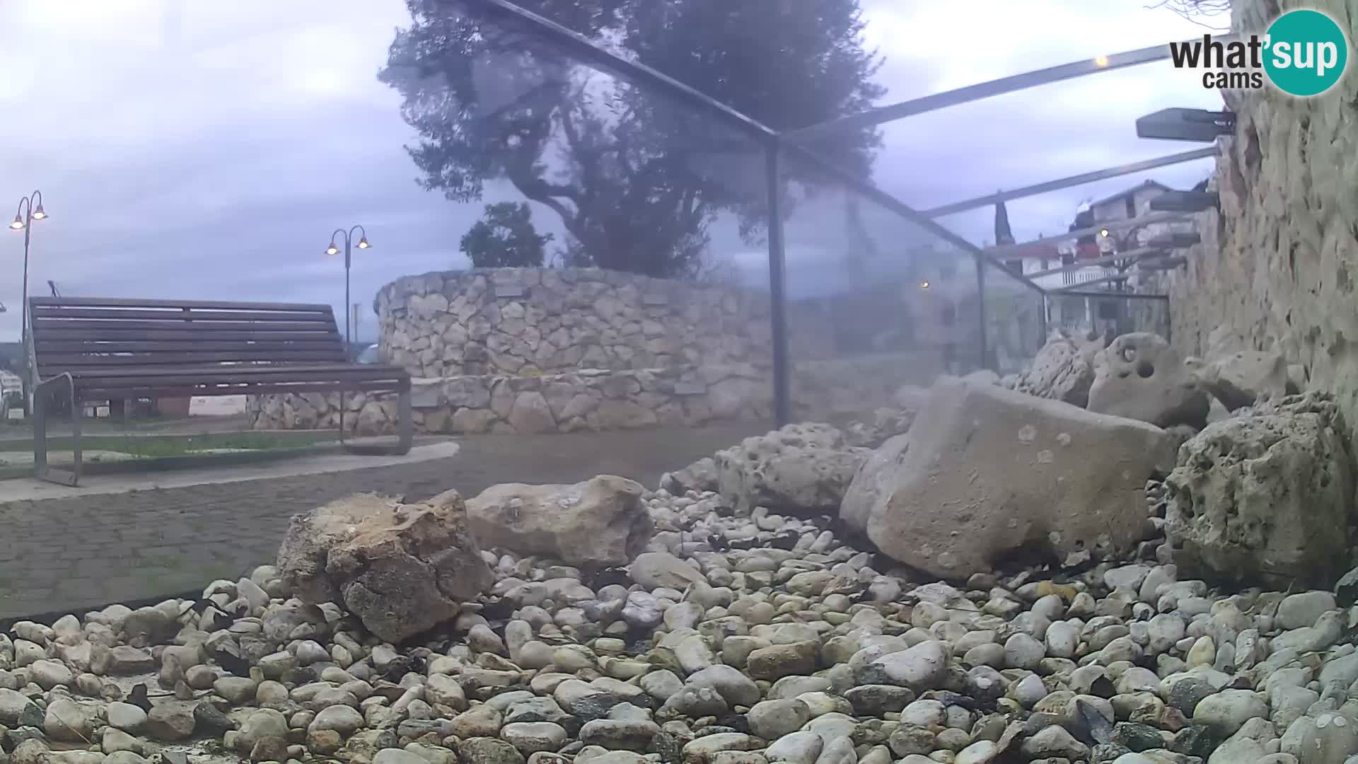 Acuario marino al aire libre Rogoznica webcam Croacia