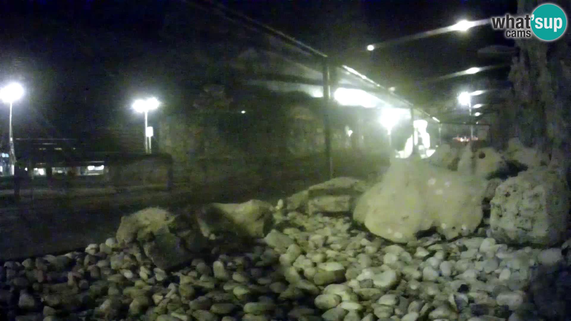 Outdoor Marine Aquarium Rogoznica webcam Croatia