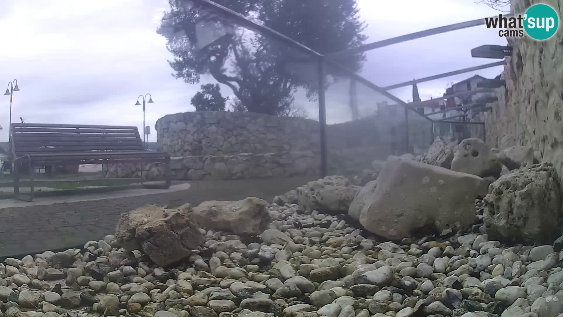 Acuario marino al aire libre Rogoznica webcam Croacia