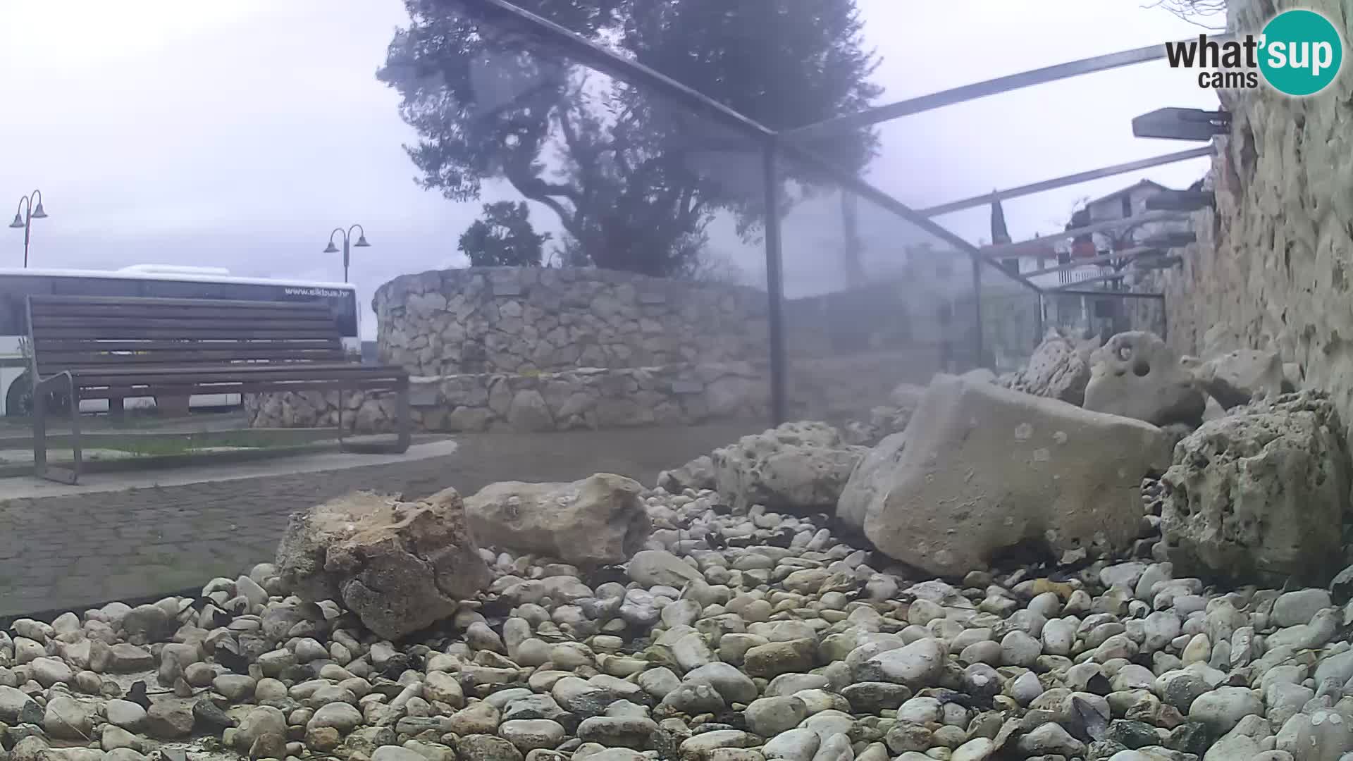Webcam de l’aquarium marin extérieur de Rogoznica Croatie