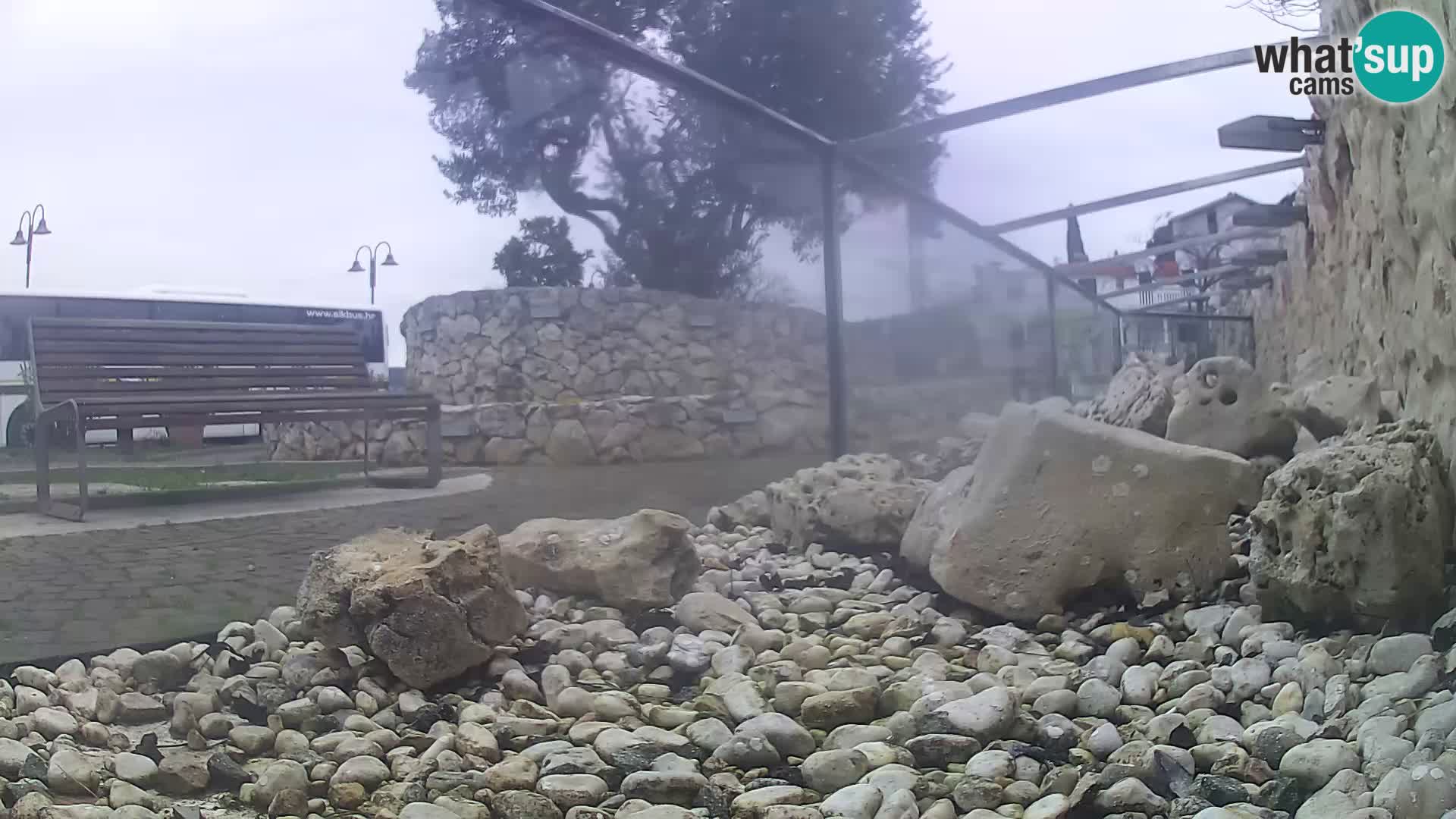 Vanjski morski akvarij Rogoznica web kamera Hrvatska