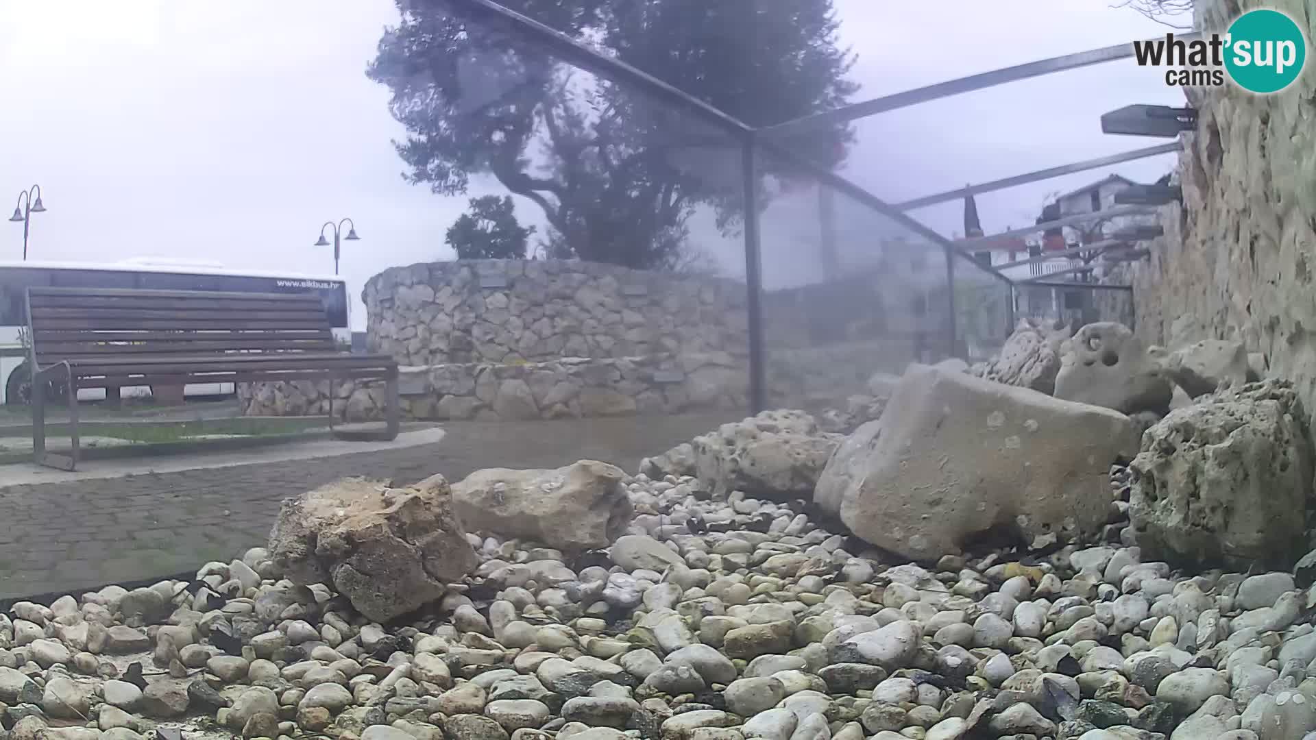 Zunanji morski akvarij Rogoznica spletna kamera Hrvaška