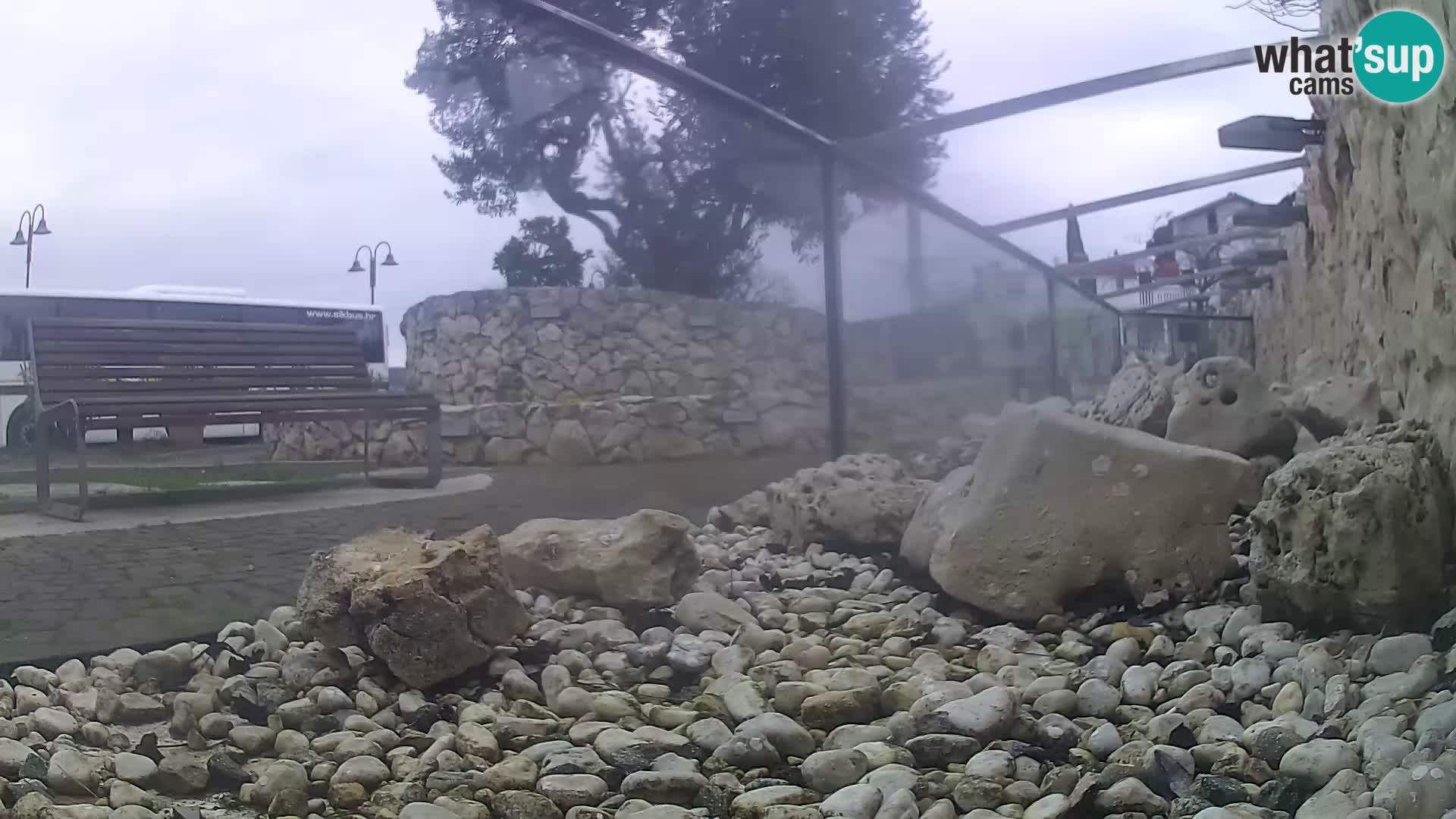 Outdoor Marine Aquarium Rogoznica webcam Croatia