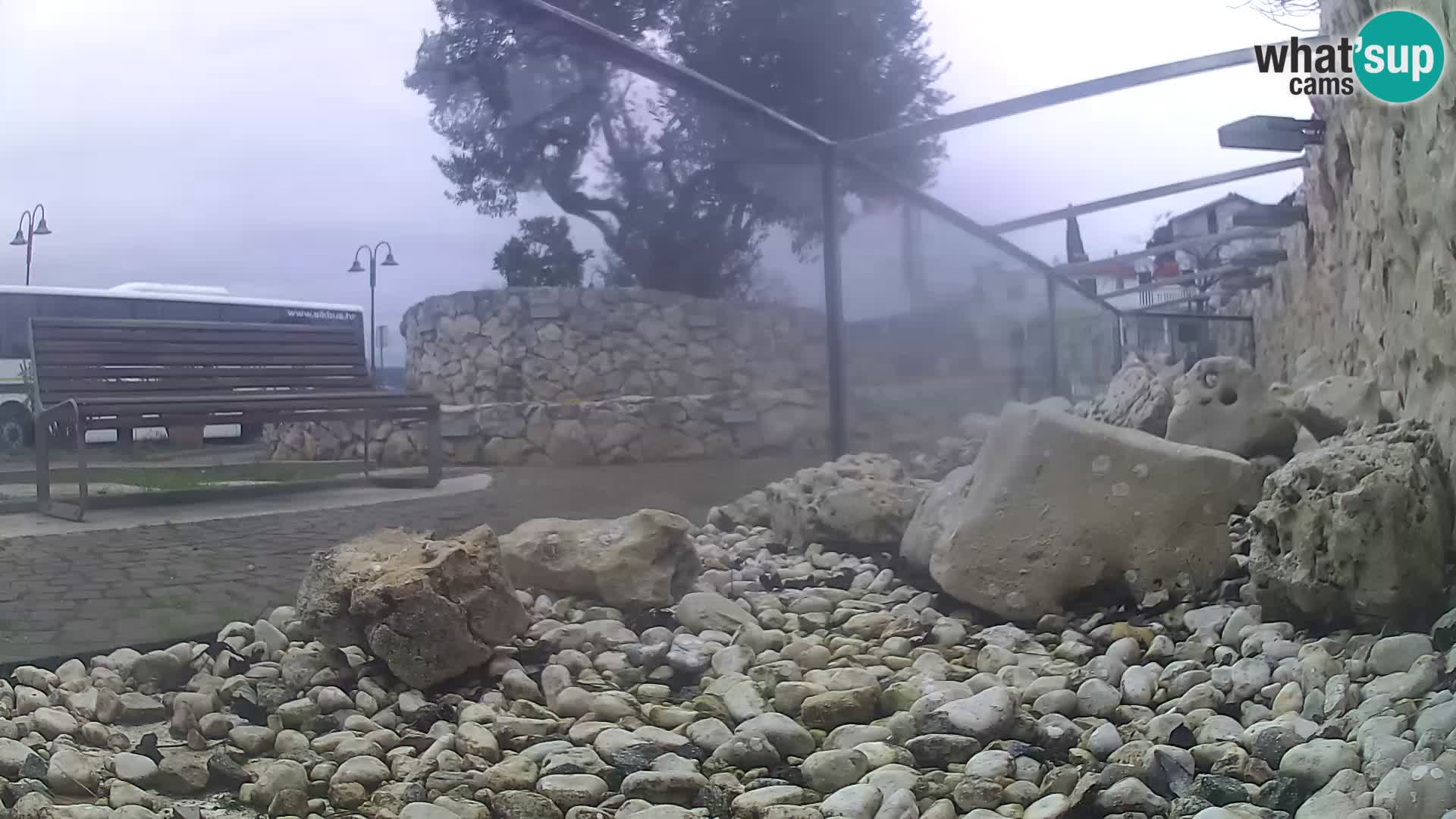 Outdoor Marine Aquarium Rogoznica webcam Croatia