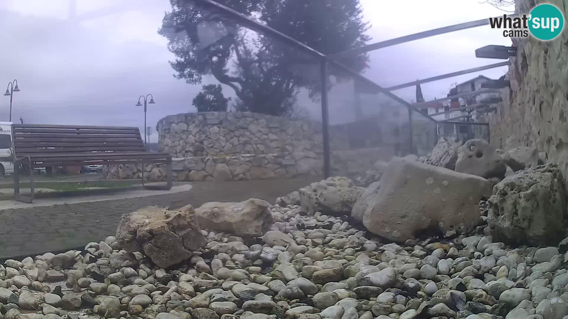 Zunanji morski akvarij Rogoznica spletna kamera Hrvaška