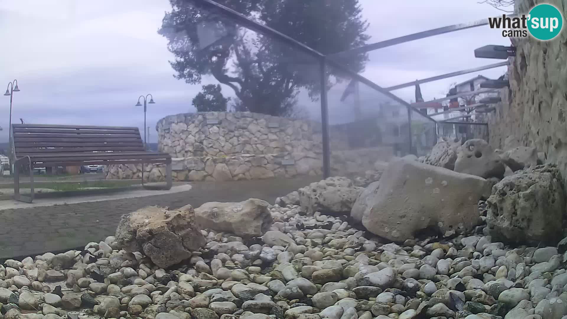 Webcam de l’aquarium marin extérieur de Rogoznica Croatie