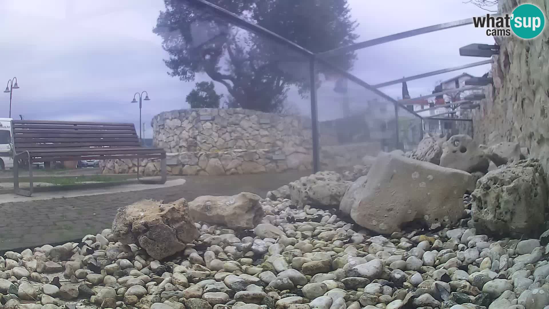 Aquario marino esterno –  Rogoznica livecam Croazia