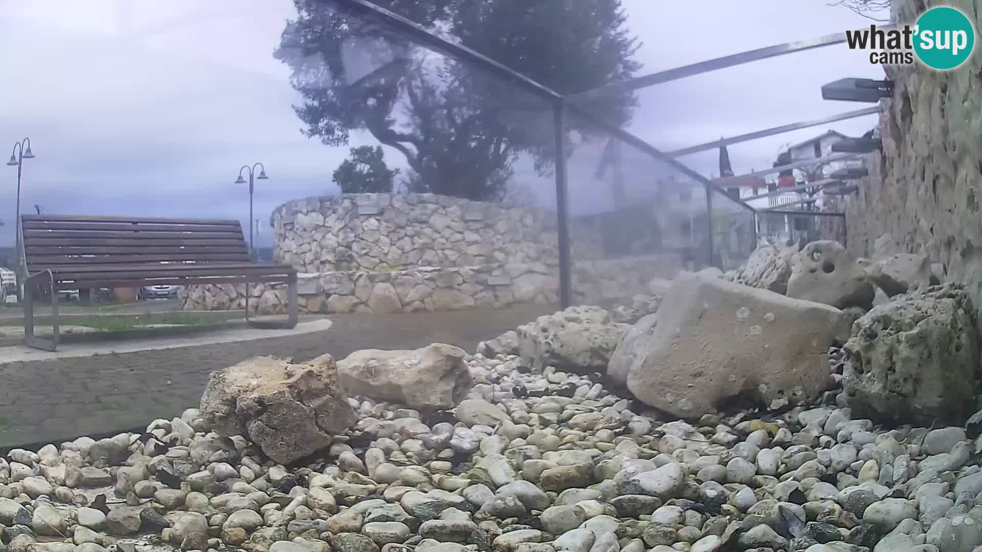 Webcam de l’aquarium marin extérieur de Rogoznica Croatie