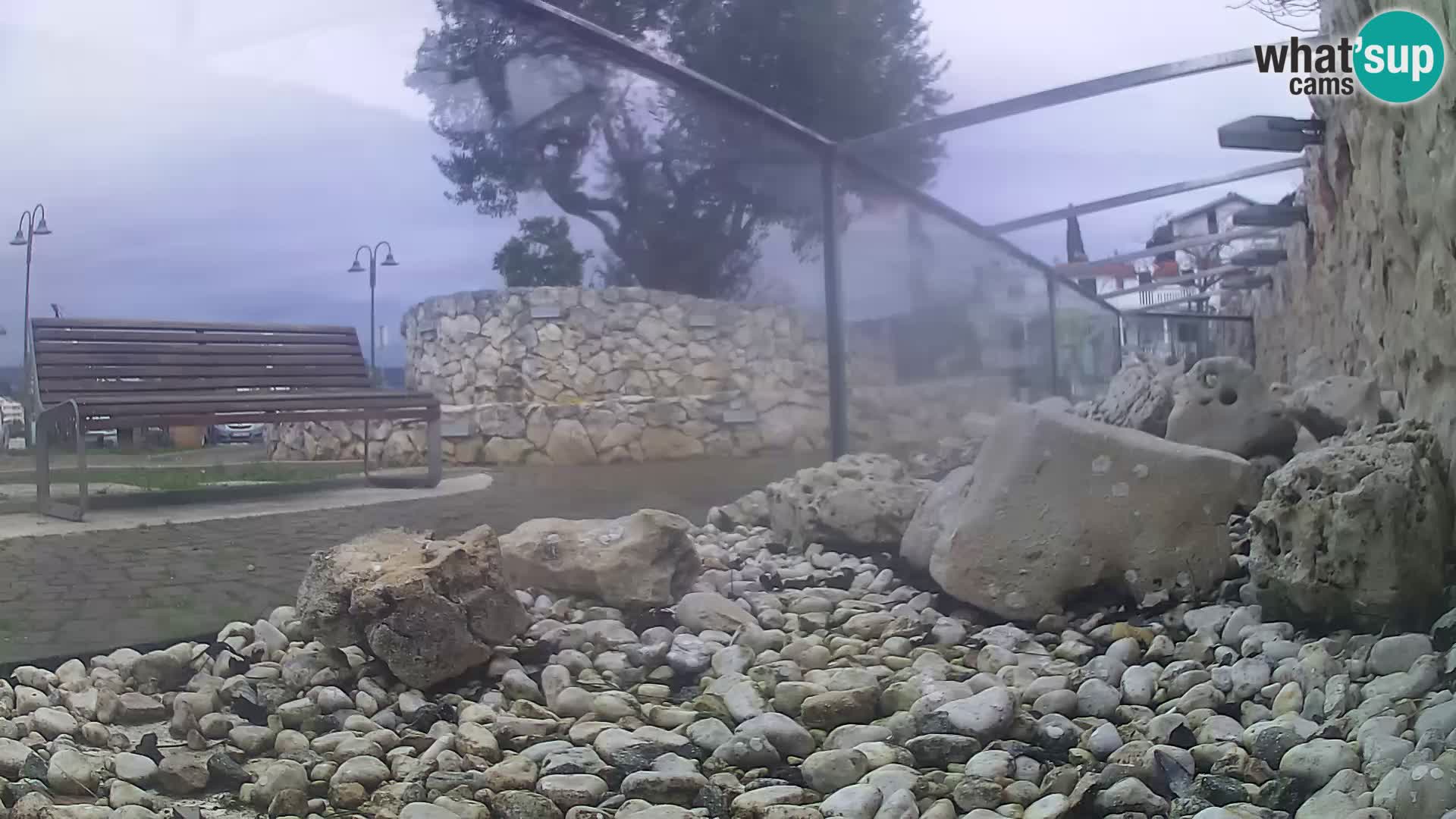 Outdoor Marine Aquarium Rogoznica webcam Croatia