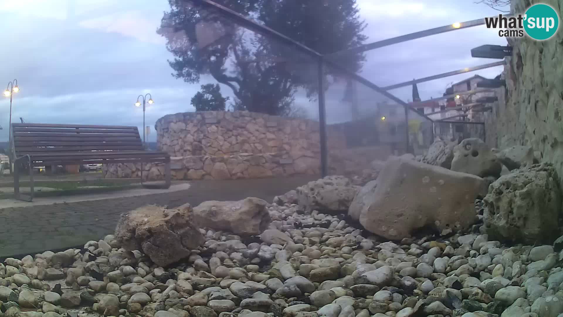 Aquario marino esterno –  Rogoznica livecam Croazia