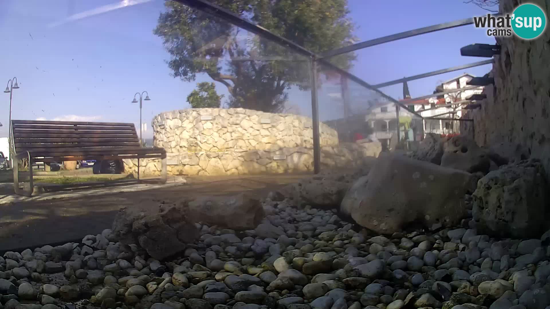 Outdoor Marine Aquarium Rogoznica webcam Croatia