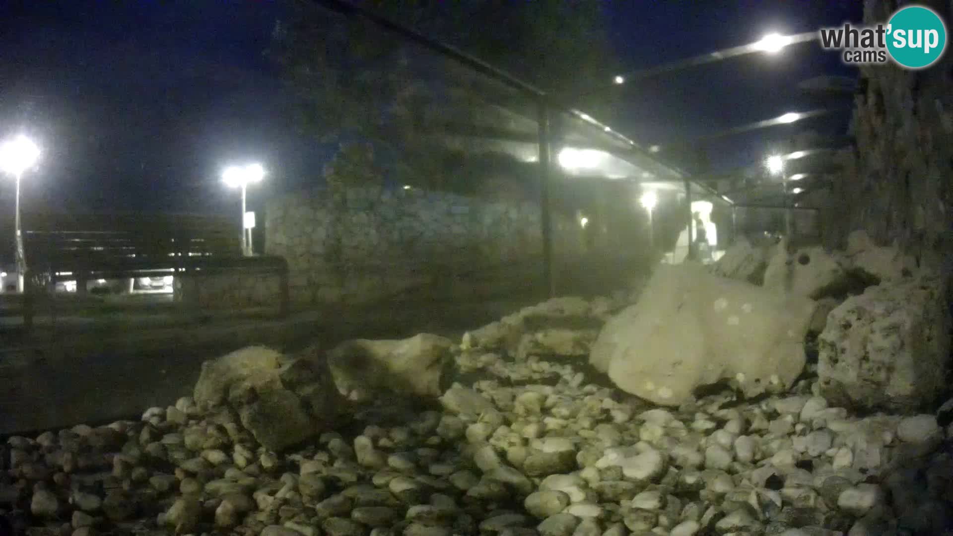 Webcam de l’aquarium marin extérieur de Rogoznica Croatie