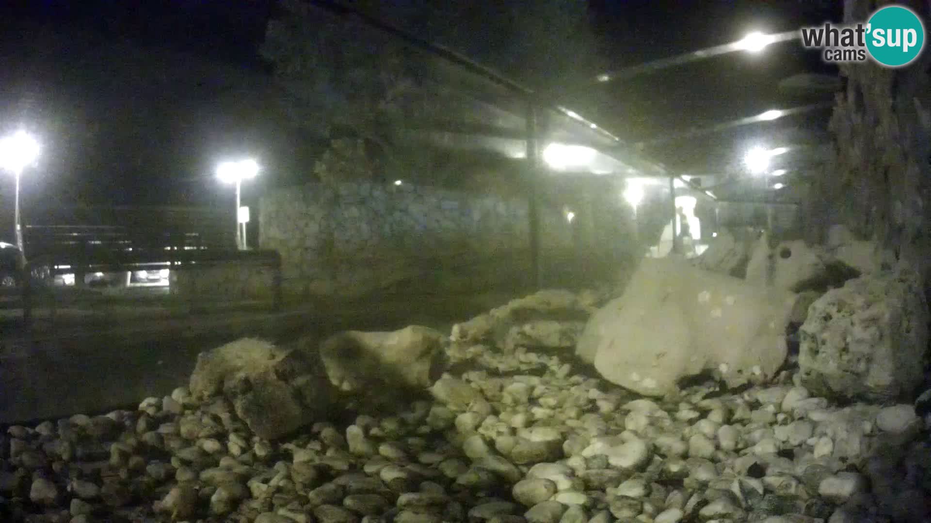 Marine Aquarium im Freien Rogoznica webcam Kroatien