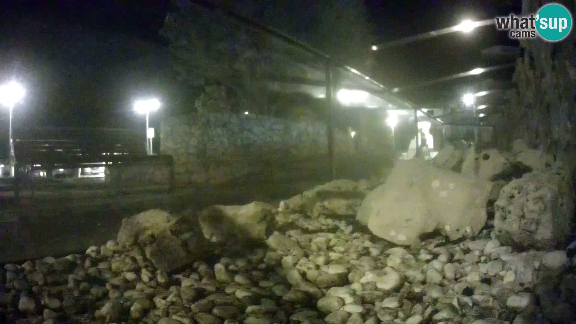 Vanjski morski akvarij Rogoznica web kamera Hrvatska