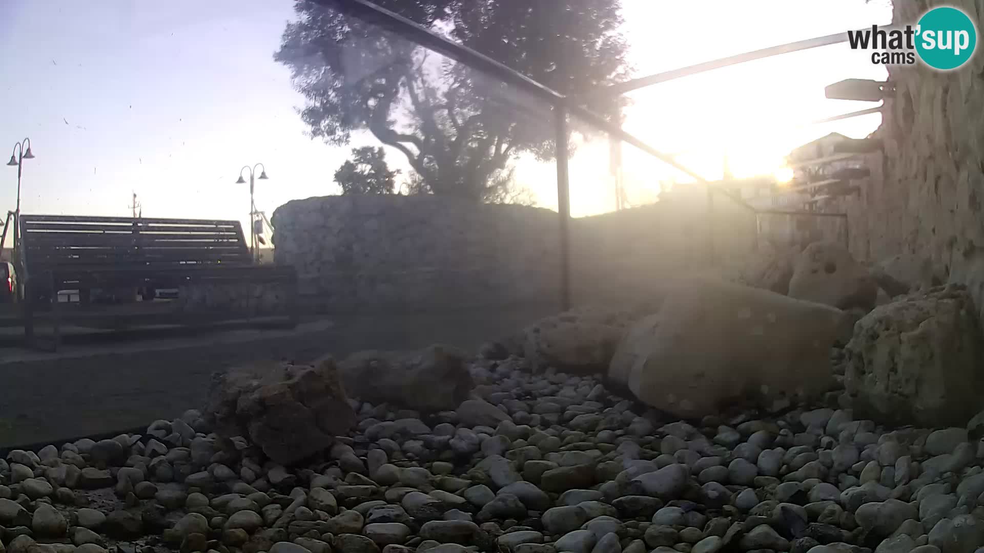 Zunanji morski akvarij Rogoznica spletna kamera Hrvaška