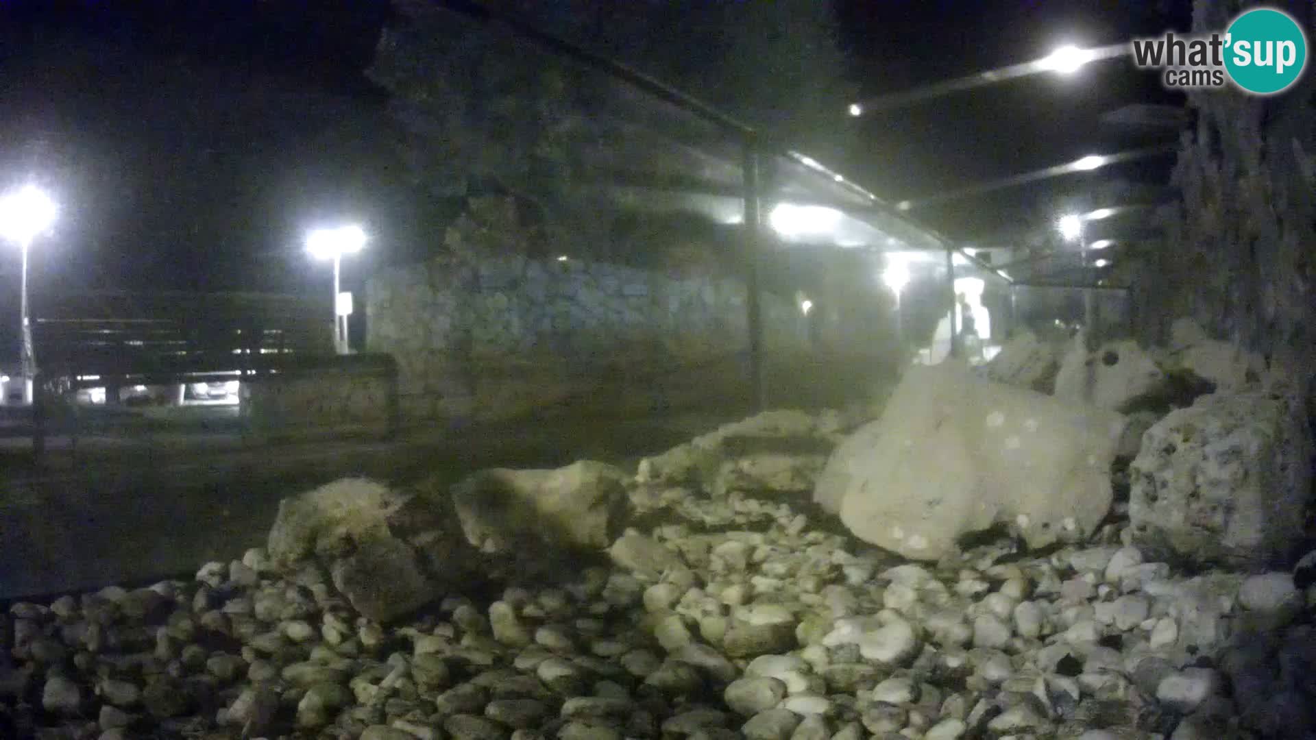 Outdoor Marine Aquarium Rogoznica webcam Croatia