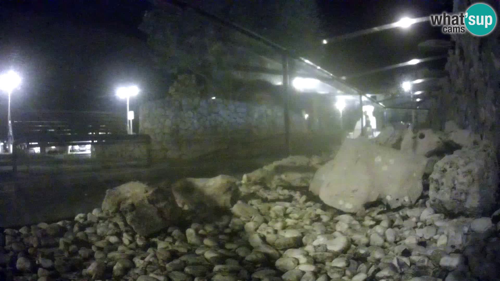 Aquario marino esterno –  Rogoznica livecam Croazia