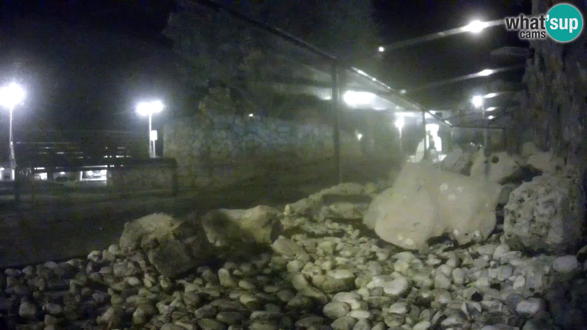 Marine Aquarium im Freien Rogoznica webcam Kroatien