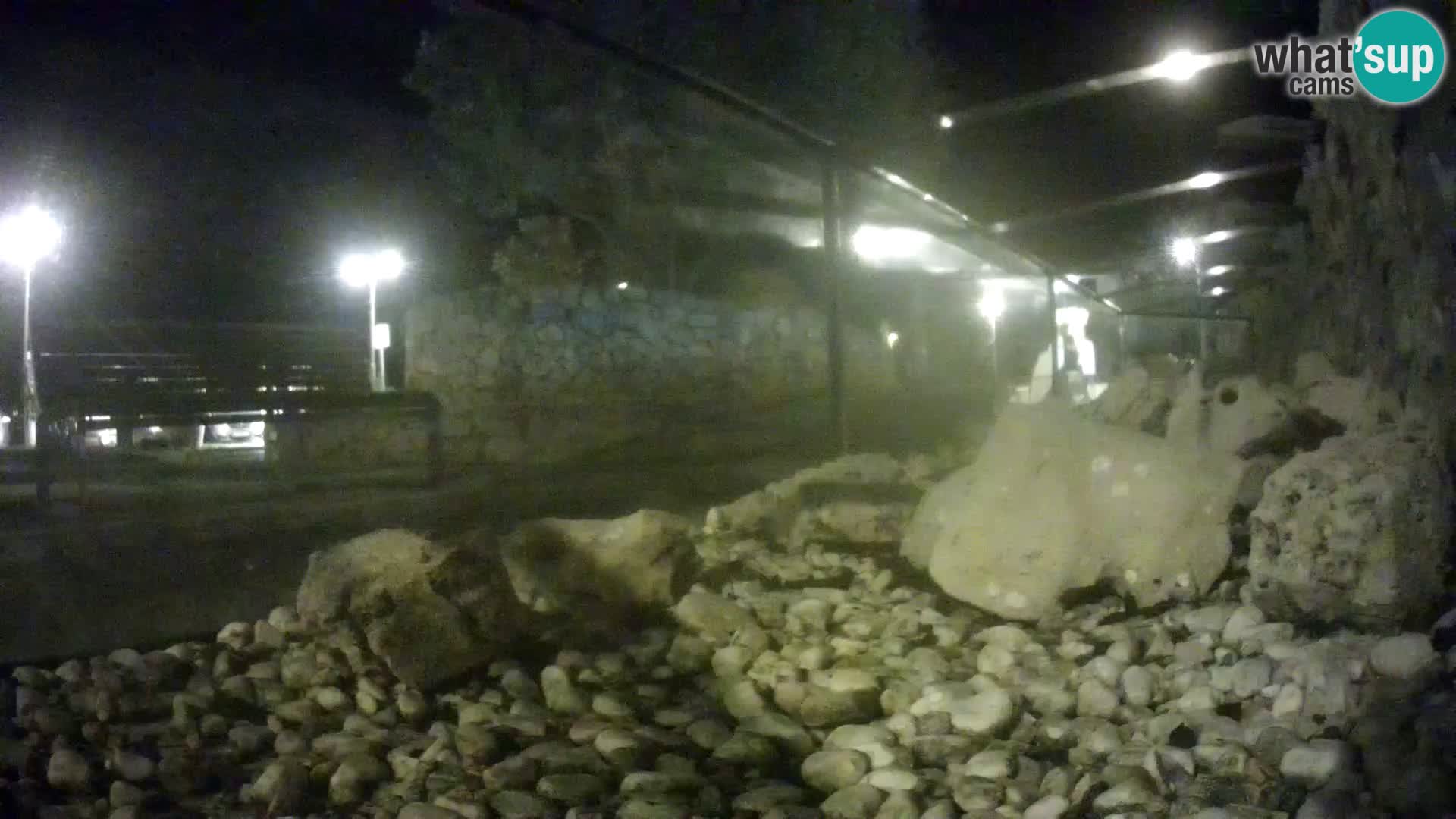 Acuario marino al aire libre Rogoznica webcam Croacia