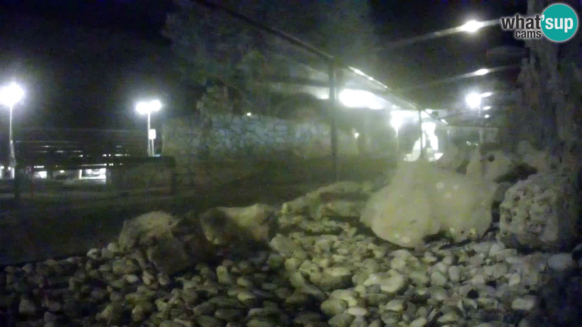 Marine Aquarium im Freien Rogoznica webcam Kroatien