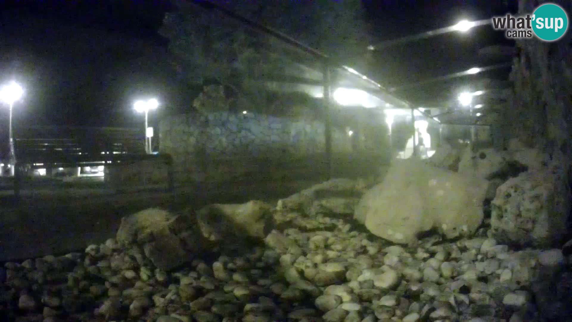 Acuario marino al aire libre Rogoznica webcam Croacia