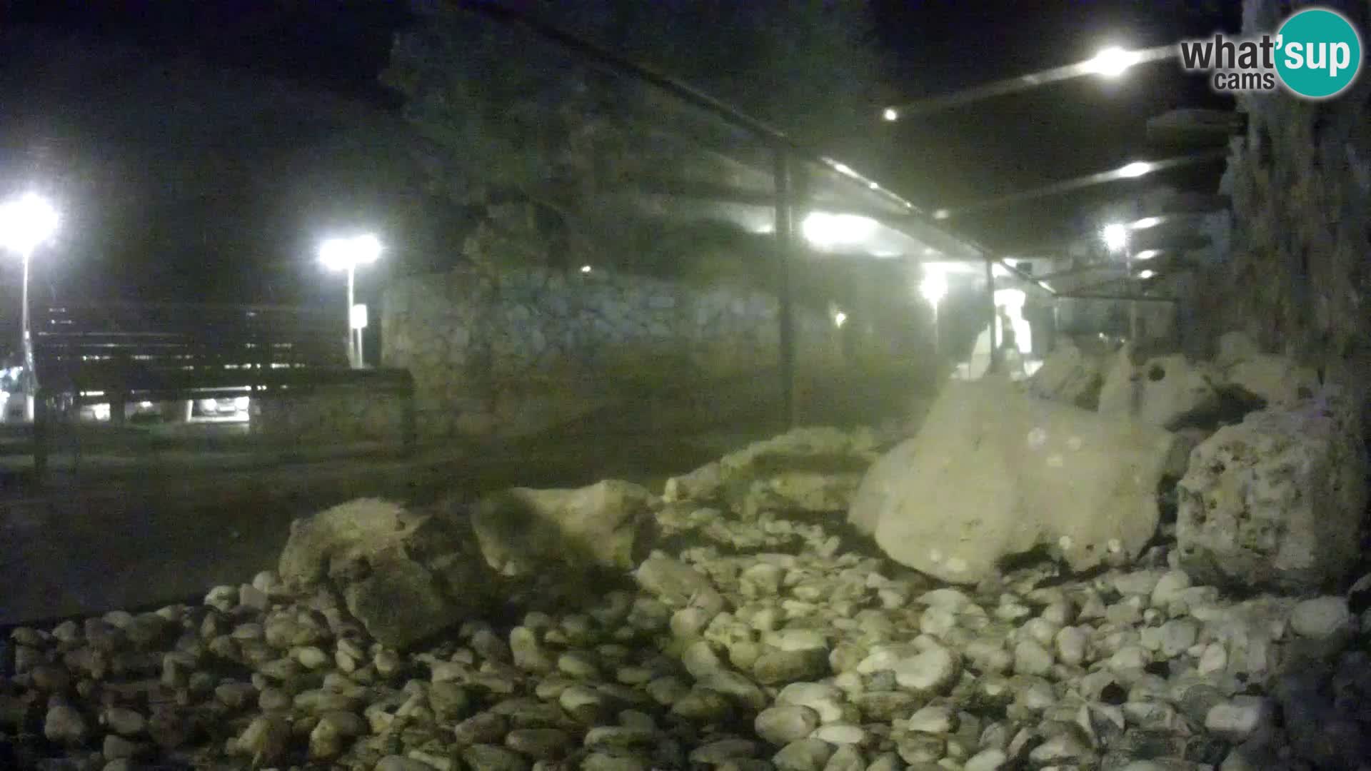 Aquario marino esterno –  Rogoznica livecam Croazia