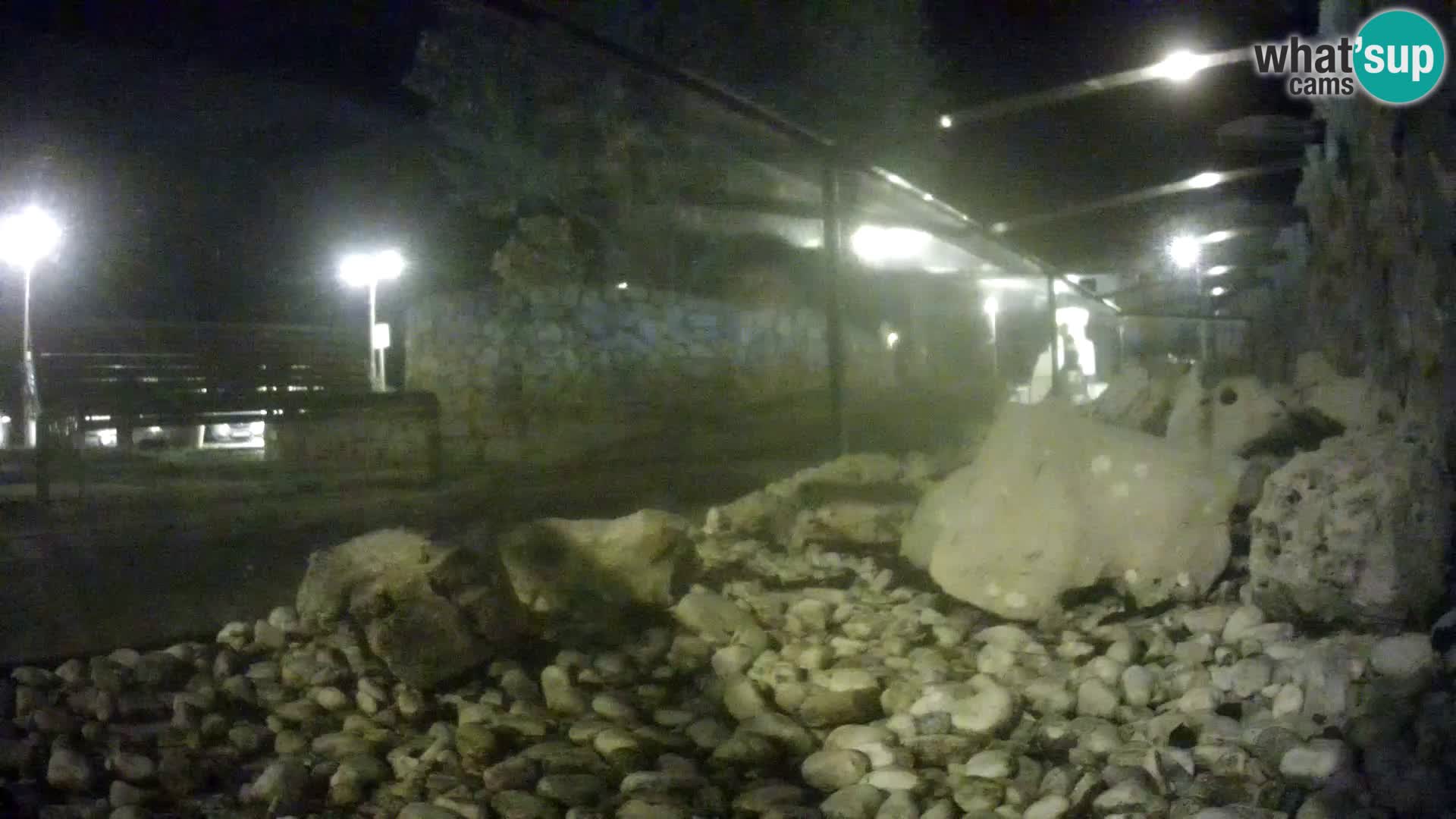 Acuario marino al aire libre Rogoznica webcam Croacia