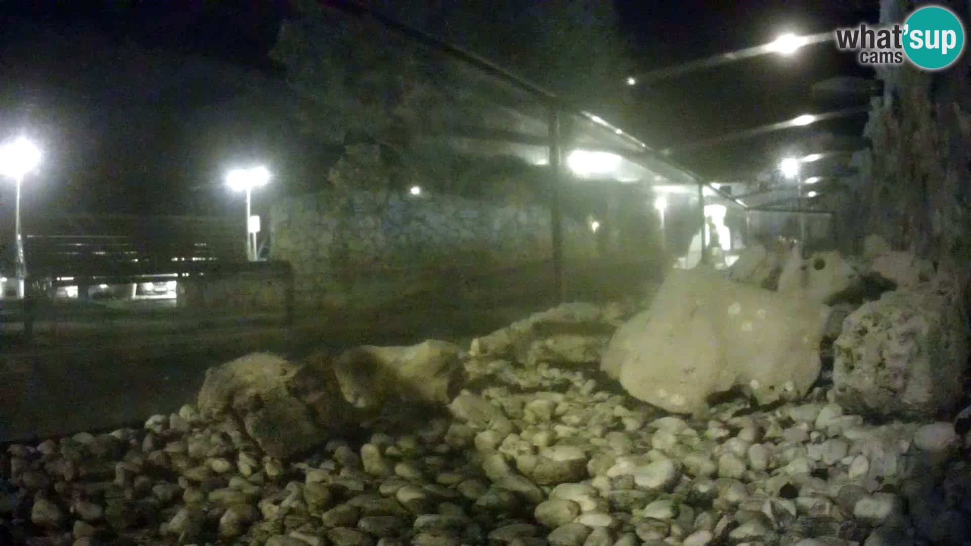 Aquario marino esterno –  Rogoznica livecam Croazia