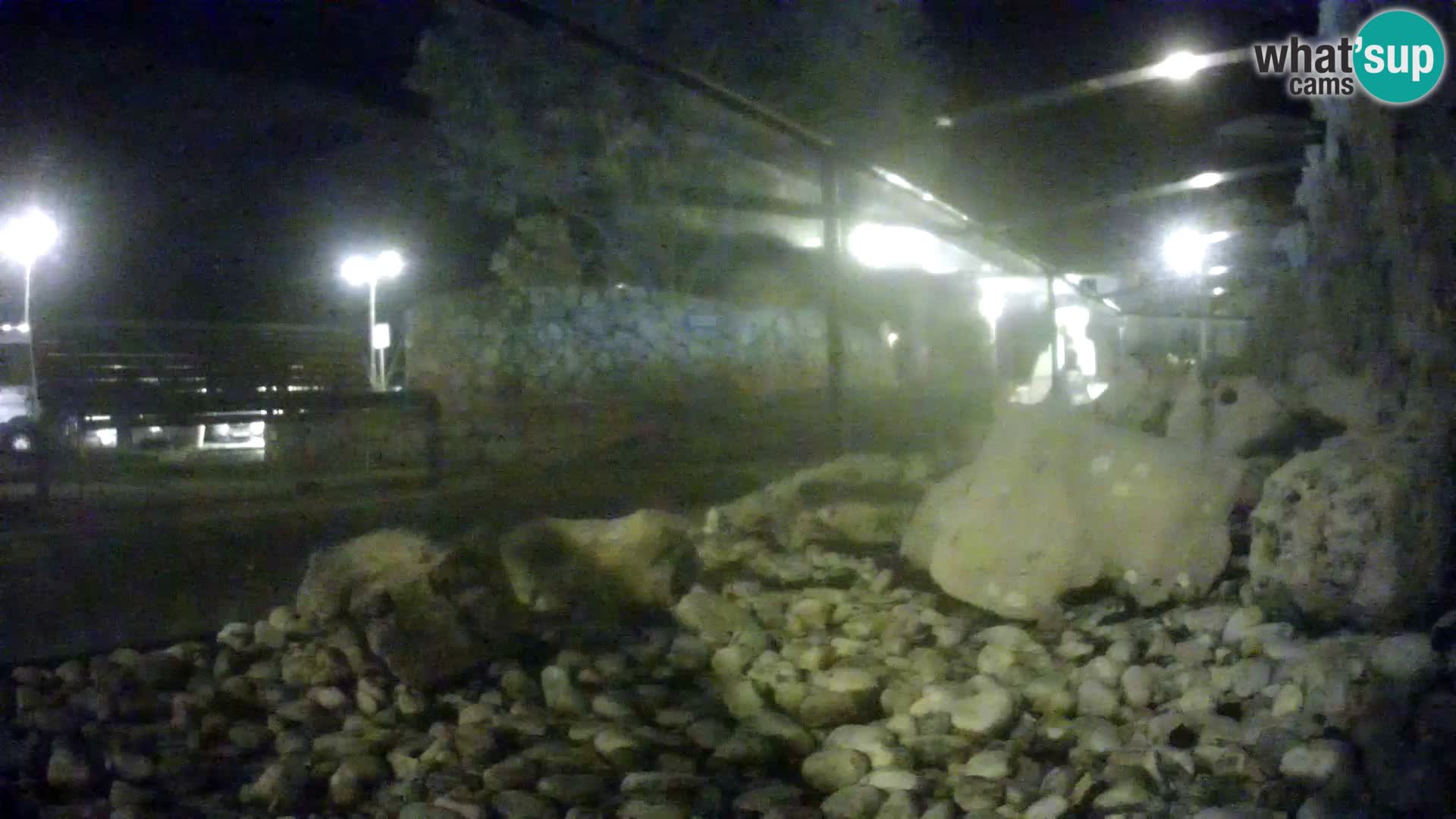 Webcam de l’aquarium marin extérieur de Rogoznica Croatie