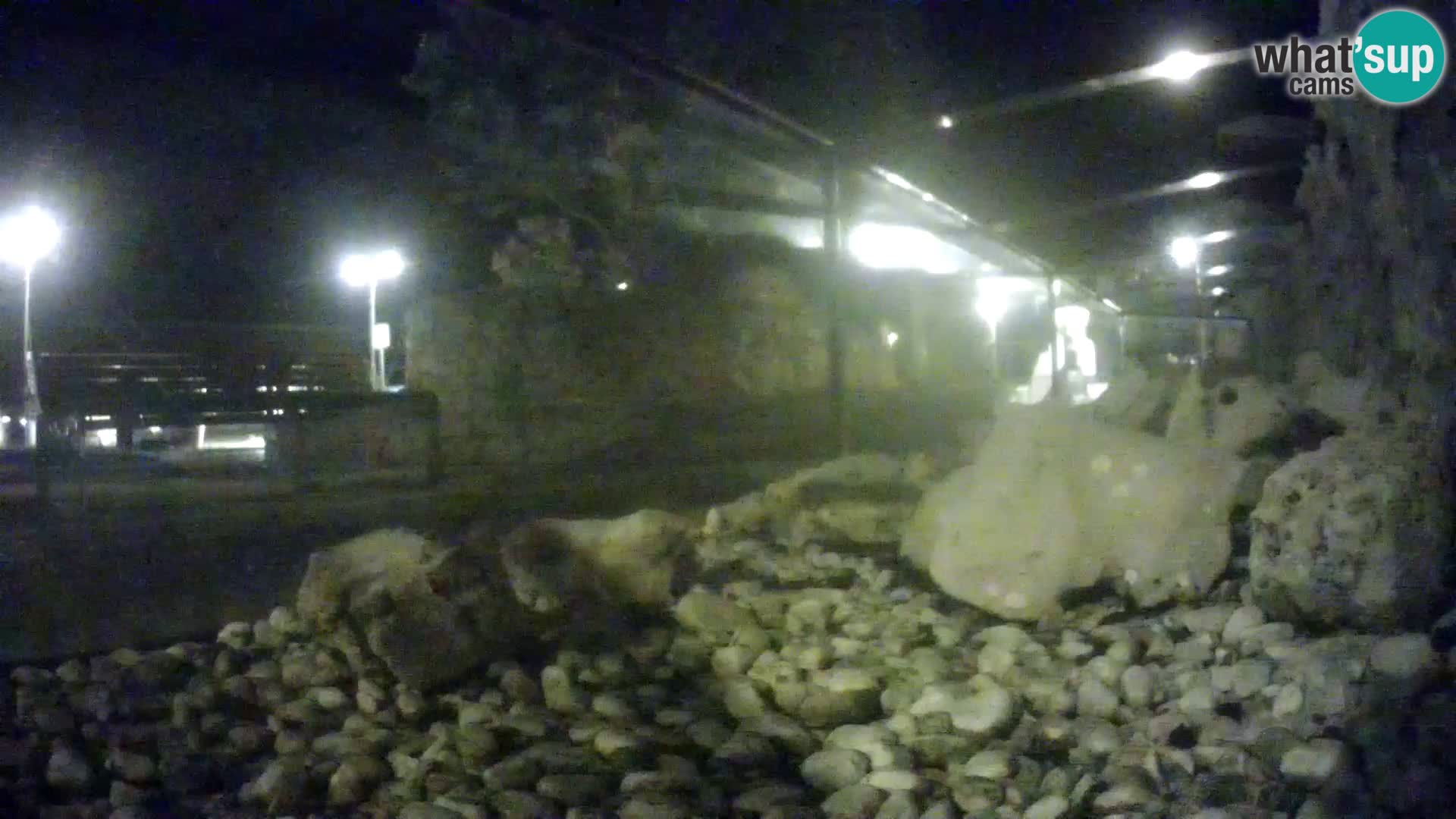 Marine Aquarium im Freien Rogoznica webcam Kroatien