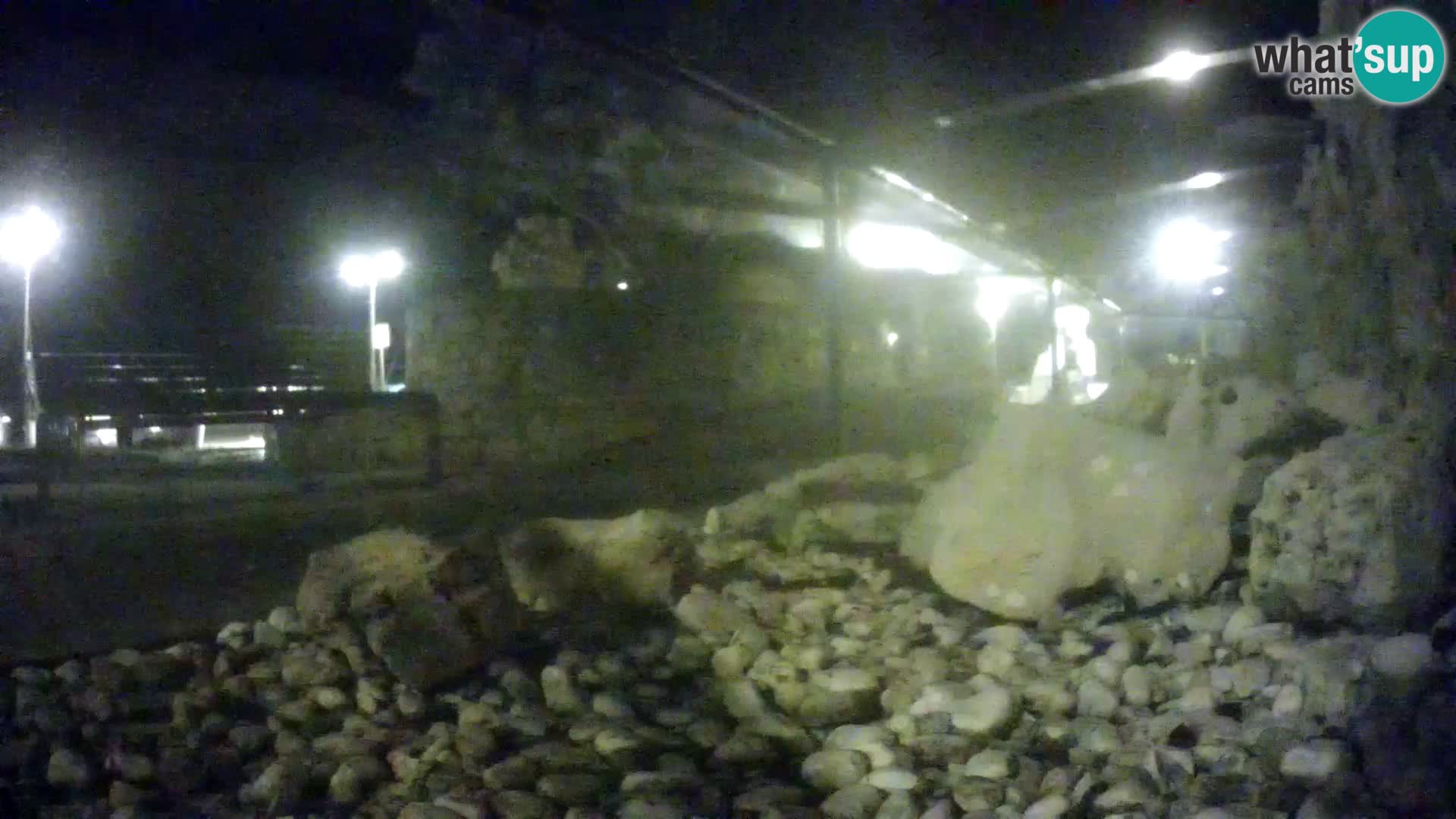 Marine Aquarium im Freien Rogoznica webcam Kroatien