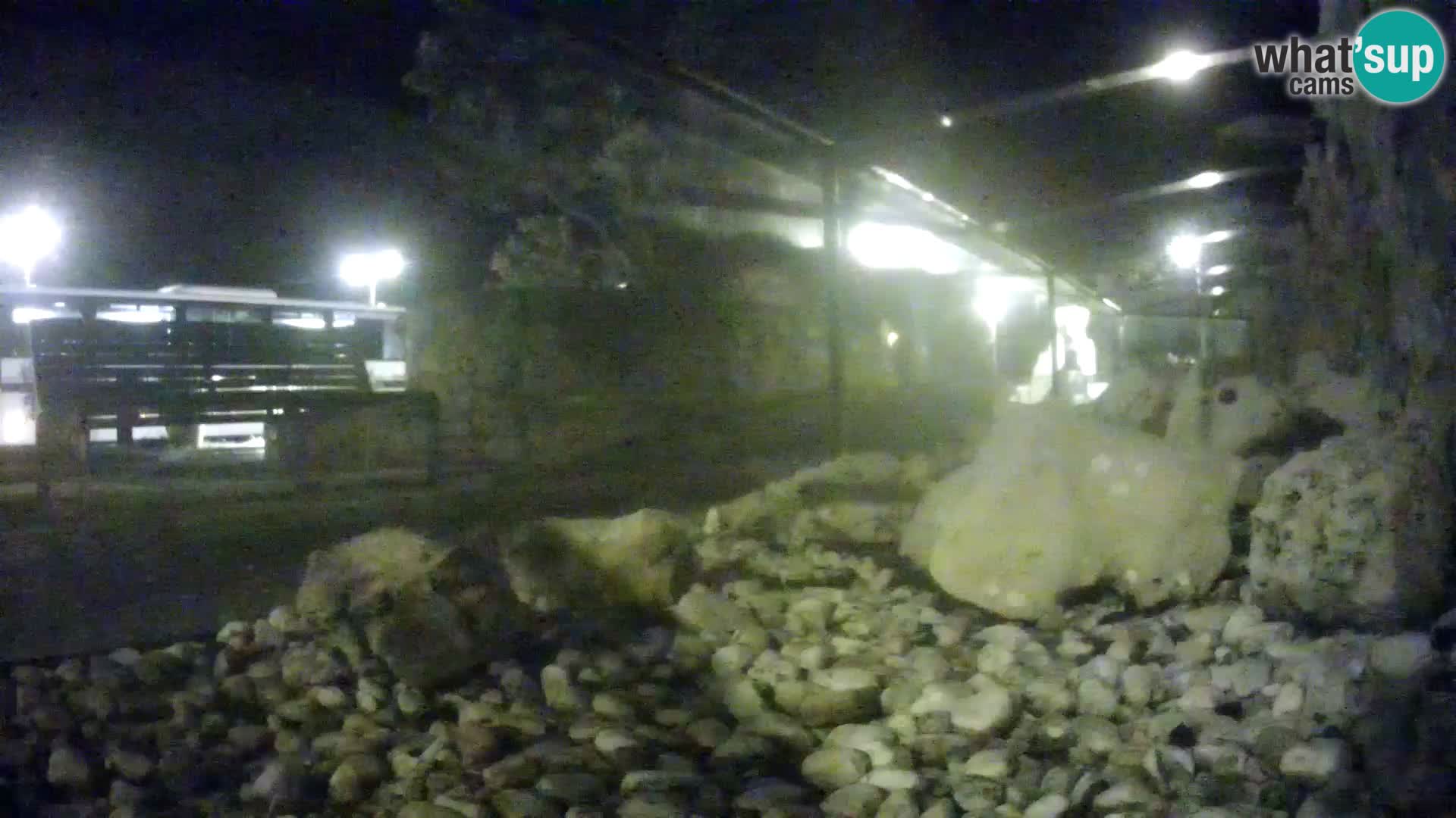 Acuario marino al aire libre Rogoznica webcam Croacia