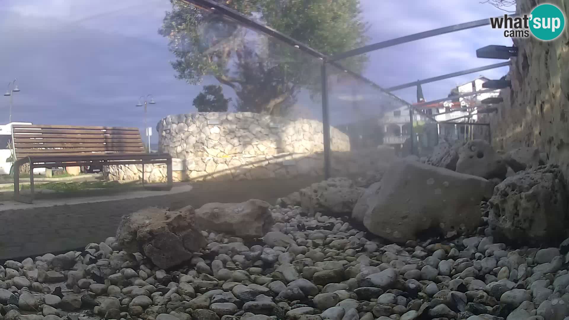 Webcam de l’aquarium marin extérieur de Rogoznica Croatie