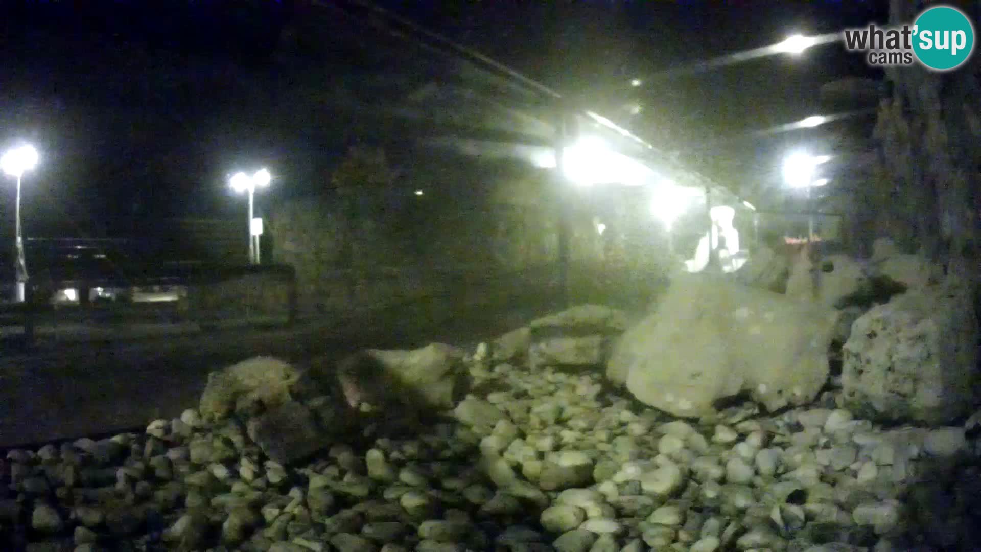 Outdoor Marine Aquarium Rogoznica webcam Croatia