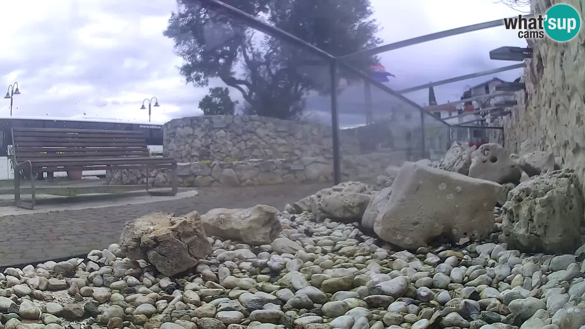 Marine Aquarium im Freien Rogoznica webcam Kroatien