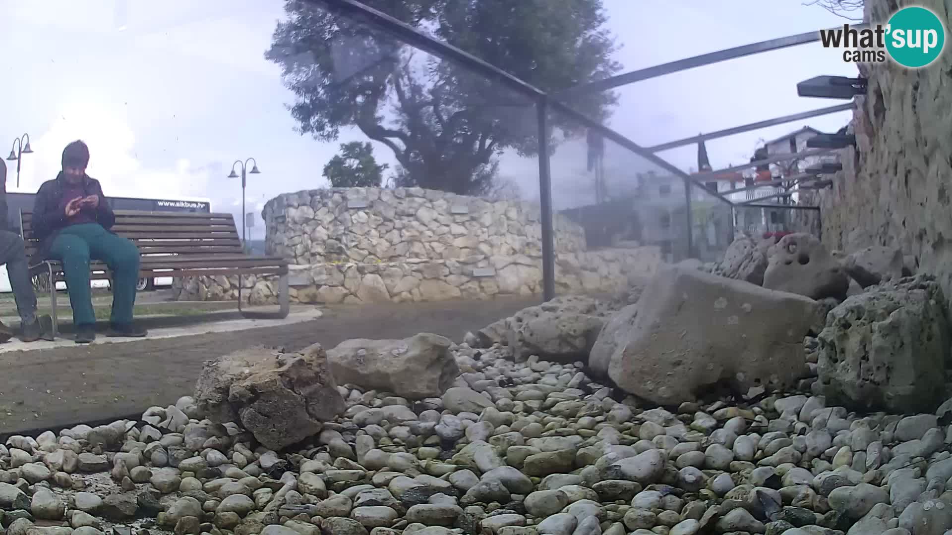 Vanjski morski akvarij Rogoznica web kamera Hrvatska