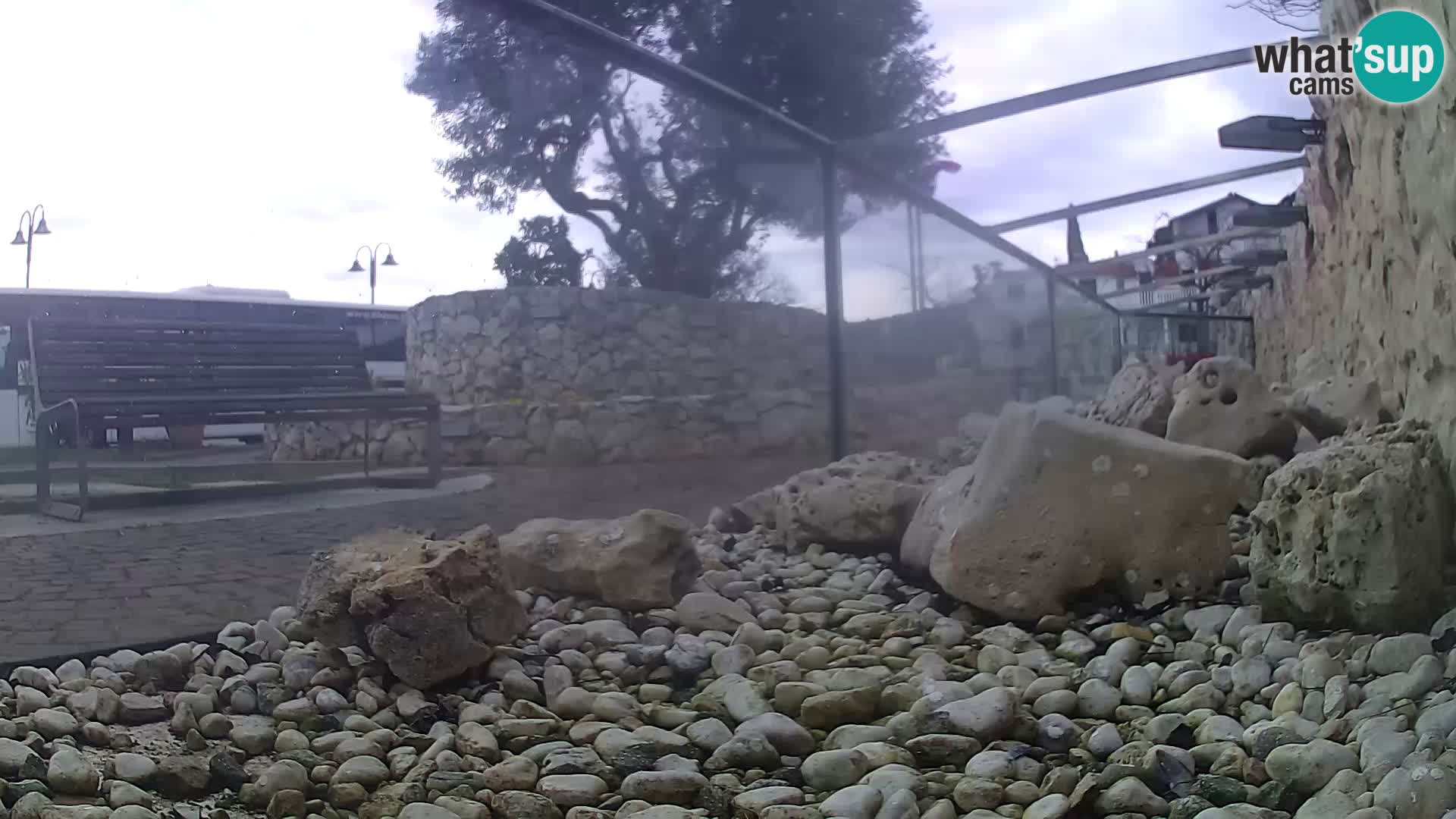 Aquario marino esterno –  Rogoznica livecam Croazia