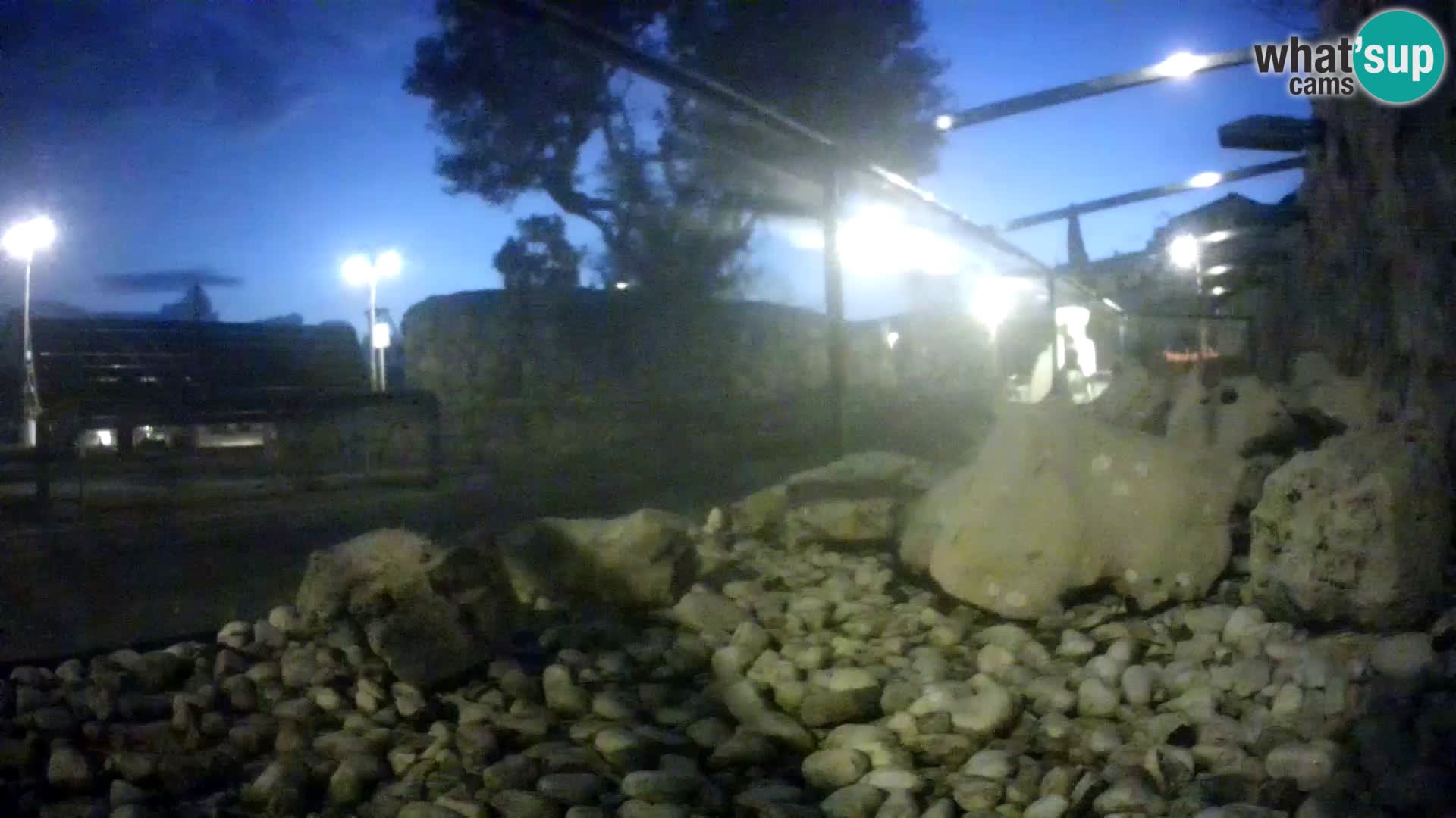 Acuario marino al aire libre Rogoznica webcam Croacia