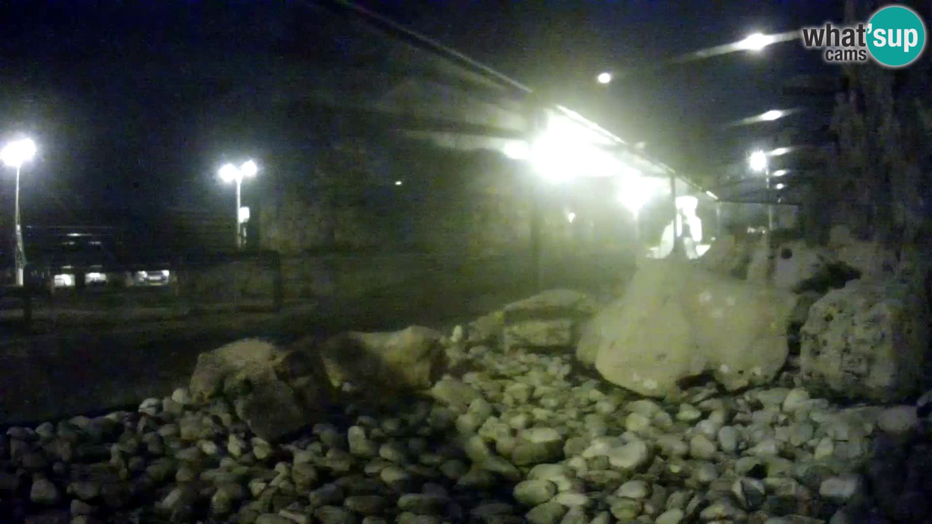 Acuario marino al aire libre Rogoznica webcam Croacia